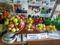 IMG_20190302_095440