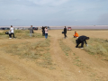 IMG-20220915-WA0001