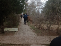 IMG_20220309_165234