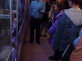 IMG-91386c1894afd6c3d015a4ed2dd66764-V