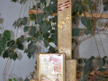 DSC7569