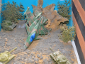 DSC7600