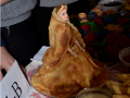 DSC2850