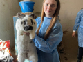 JFnpcNCA5ig