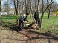 IMG_20180405_102822