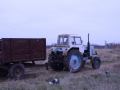 DSC0237