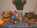DSC8461