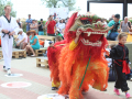 IMG_0016_94f84