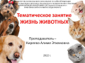 Слайд1
